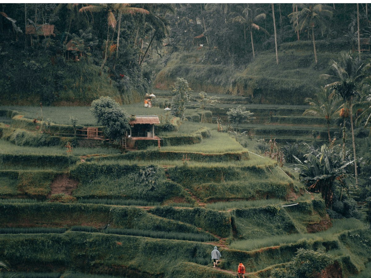 Bali